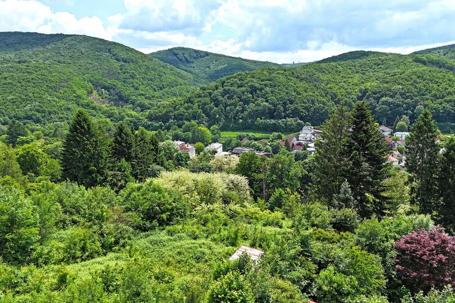 Baugrund in Südlage am Sagberg mit Traumausblick, Grund und Boden-kauf, 365.000,€, 3002 Sankt Pölten(Land)
