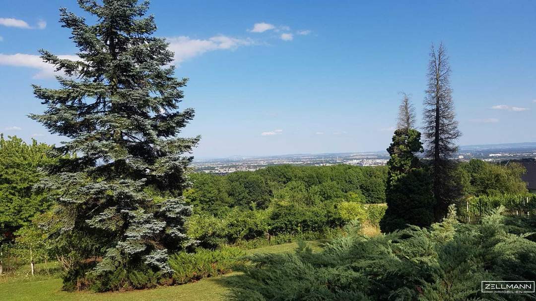 Seltene Gelegenheit: Winzerhaus auf uneinsehbarem Grundstück | ZELLMANN IMMOBILIEN