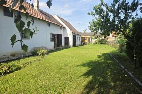 Großzügiges, ruhig gelegenes Wohnhaus mit umfangreichen Nebengebäuden und großem Schuppen, Haus-kauf, 249.000,€, 2074 Hollabrunn