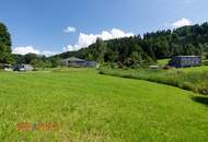 Wunderschönes Grundstück am Waldrand in prominenter Dornbirner Lage