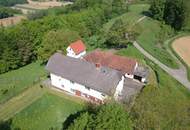Herrliche Alleinlage: Großzügiges Einfamilienhaus (155m²) mit ehemaligem Wirtschaftsgebäude inmitten der Weinberge mit Blick auf Schloss Kapfenstein!