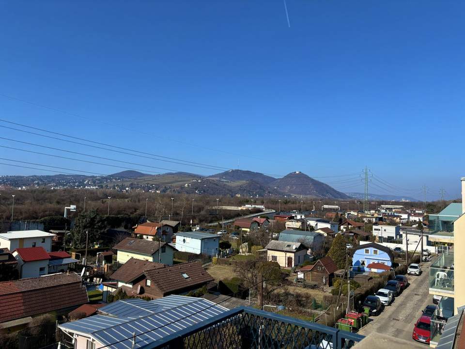 ERSTBEZUG | Außenflächen mit direktem Blick auf den Kahlenberg | vollausgestattete Küchen | Fußbodenheizung und Fußbodenkühlung