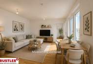 Ein Blick über die Dächer von Wien. 2 Zimmerwohnung mit Terrasse