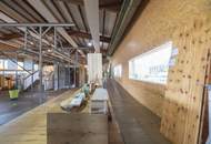 Vielseitige Gewerbeimmobilie: Büro-, Werkstätten-, Lager- & Ausstellungshalle in OÖ!!