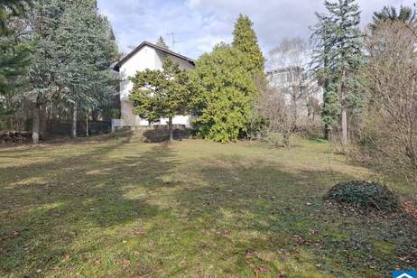 Charmantes Haus am Mitterberg – viel Licht, viel Raum, viel Potenzial, Haus-kauf, 1.150.000,€, 2500 Baden