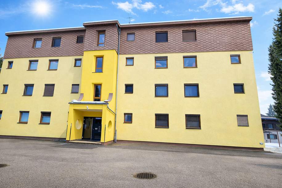 Helle großzügige Wohnung in idyllischer Lage nahe dem Weißensee, Wohnung-kauf, 185.000,€, 9761 Spittal an der Drau