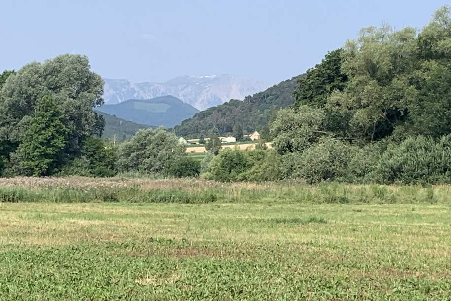 Traumhaftes Landwirtschaftsgut in idyllischer Lage - 314.000 m² mit Berg-, Fern- und Grünblick, Grund und Boden-kauf, 1.995.000,€, 2732 Neunkirchen