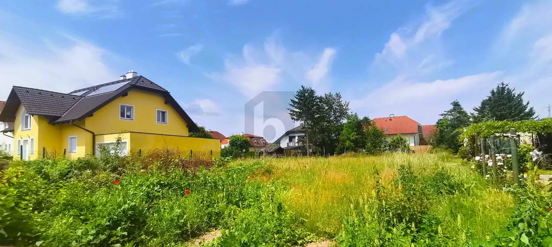 Preisreduktion! RIESIGES GRUNDSTÜCK - BIS ZU 4 REIHENHÄUSER MÖGLICH