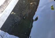 FREIZEITGRUNDSTÜCK mit BEWILLIGTER FISCHZUCHT inclusive 2 GARTENHÜTTEN