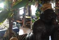 "Die African Queen auf der Donau deine Chance auf Kult Gastro mit Traumlage"