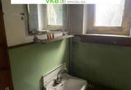 Naturnah & ruhig: Grundstück mit Altbestand in Spattendorf - Gemeinde Alberndorf in der Riedmark (GST 2438/1)