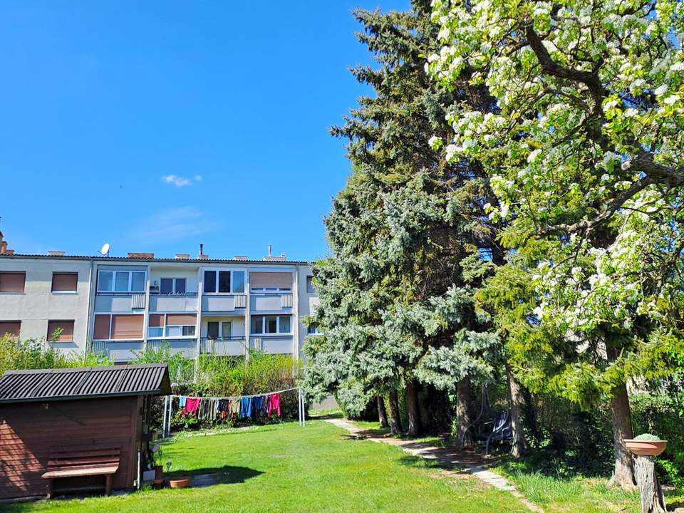 3 Zimmer, Loggia, großer Garten, Garage
