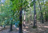 "Exklusive Residenz mit Wald!"