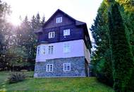 Villa in der Natur von Payerbach/Kreuzberg