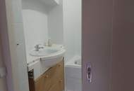 Großes Haus mit Blick auf die Donau! Mit 2 Wohneinheiten!