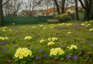 Verbringen Sie den nächsten Sommer schon im neuen Haus! Sofort bezugsfertig!