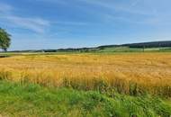 Sanierungsbedürftiges Haus mit POTENZIAL! Leben in Natur und Ruhe.