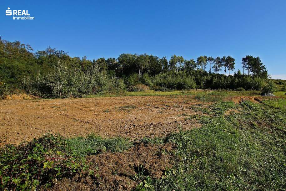 7503 Großpetersdorf - Top aktuelle Investition! Traumhafter Baugrund in ruhig gelegener Sackgasse, Grund und Boden-kauf, 70.000,€, 7503 Oberwart