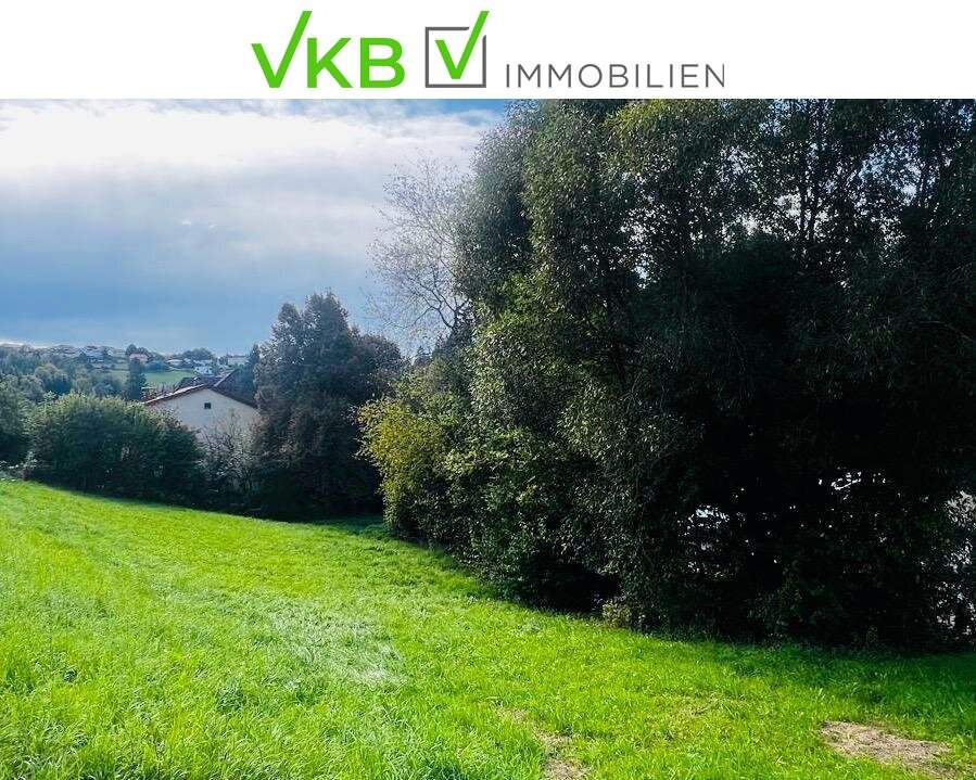 Naturnahe Grünlage – Baugrundstück mit Wohlfühlfaktor in Eidenberg