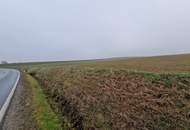 TOLLE ACKERFLÄCHE IN SÜDSEITIGER AUSRICHTUNG MIT GUTER BONITÄT IN GROßMUGL