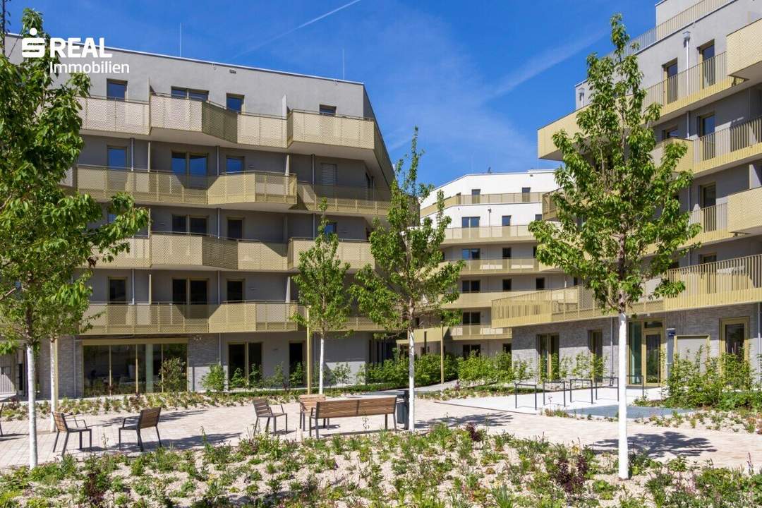 Hirschfeld - Ihr neues Zuhause im Grünen - anfragen, besichtigen, einziehen - 41 bis 96 m²
