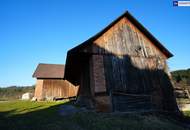 HISTORISCHER HOF IN DER GRÜNEN STEIERMARK: Ein Platz für große Pläne – von Landwirtschaft bis Pferdeparadies!