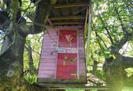 Zwischen Waldrand, Baumhaus und Abendsonne – ein Zuhause mit Seele