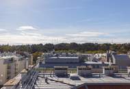 Dachterrassenwohnung mit Altbau-Charme