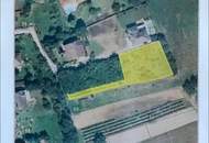 3.160 m² Grundstück mit Bauland-Potenzial – nur ca. 30 Minuten von Wien