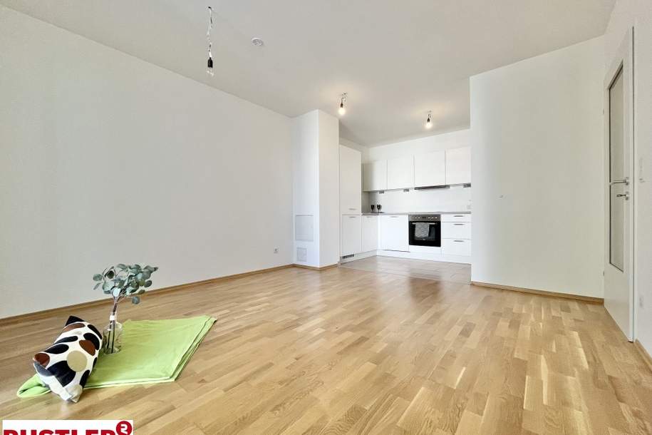 AIl Inklusive - 2 Zimmer mit Sonnenbalkon, Wohnung-miete, 795,00,€, 2514 Baden