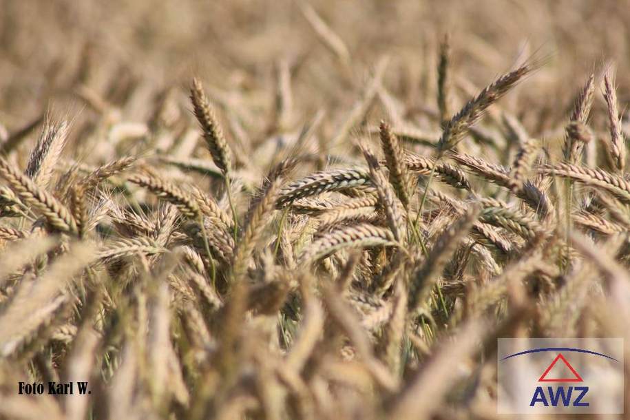 Verkaufe schöne Ackerfläche mit ca. 1,5 Hektar!, Grund und Boden-kauf, 4753 Ried im Innkreis