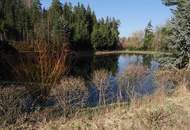 "Retreat im Waldviertel – Romantischer Fischteich im idyllischem Tann"