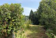 SONNIGE LAGE IN RUHIGER GEGEND