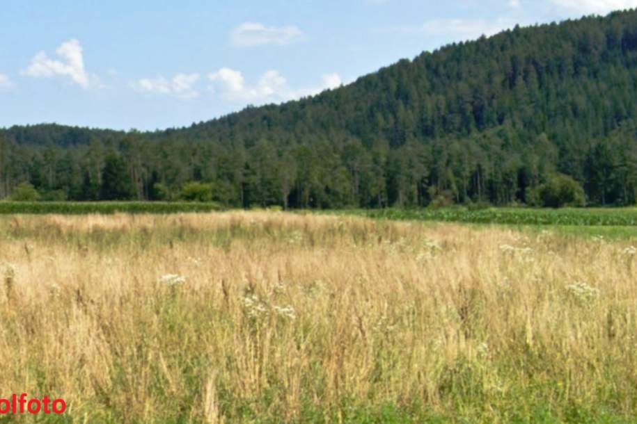 1,8 ha Bauland Potential in Jaunstein - Globasnitz, Grund und Boden-kauf, 450.000,€, 9142 Völkermarkt