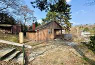 ++ KNUSPERHÄUSCHEN ++ zur MIETE mitten im WALD