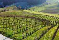 IN SLOWENIEN - Weingut in spektakulärer Alleinlage mit traumhafter Aussicht!