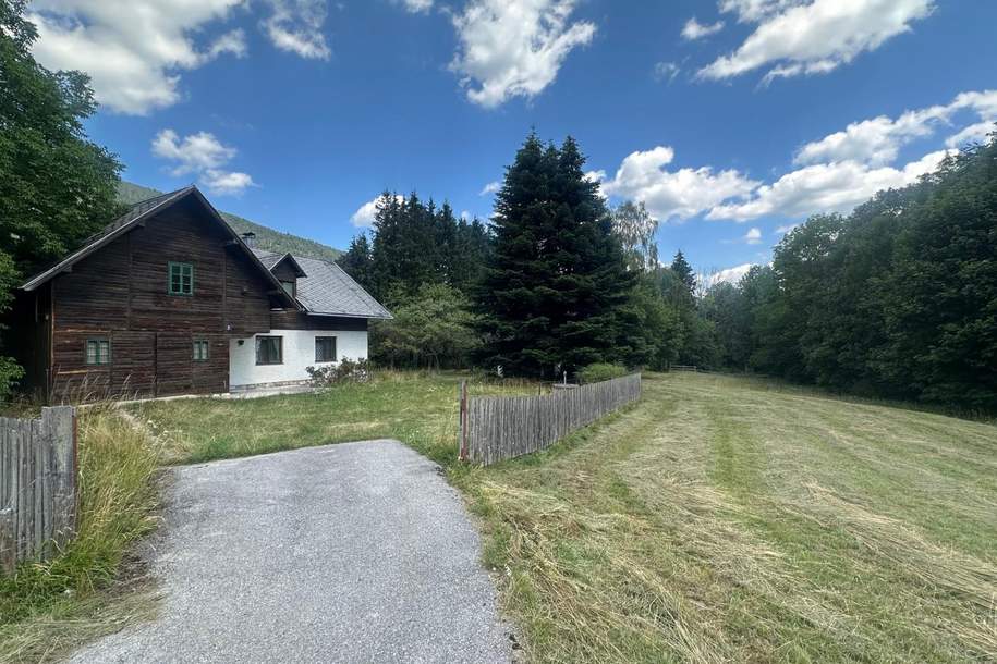 "Haus mit großem GRUND", Haus-kauf, 198.000,€, 2734 Neunkirchen