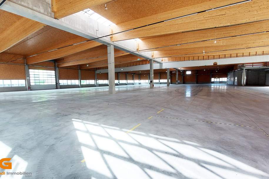 Neubau im Großformat :Unternehmens- standort im Salzburger Süden - Baurecht, Gewerbeobjekt-kauf, 4.400.000,€, 5082 Salzburg-Umgebung