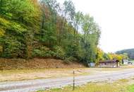 Grundstück im Grünen mit Holzhaus ohne Bauzwang