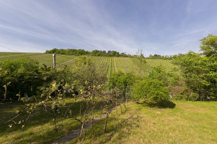 Wohnen zwischen den Weinreben - Grundstück in Toplage am Nußberg, Grund und Boden-kauf, 790.000,€, 1190 Wien 19., Döbling