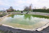 Einfamilienhaus mit großem Garten und Schwimmteich