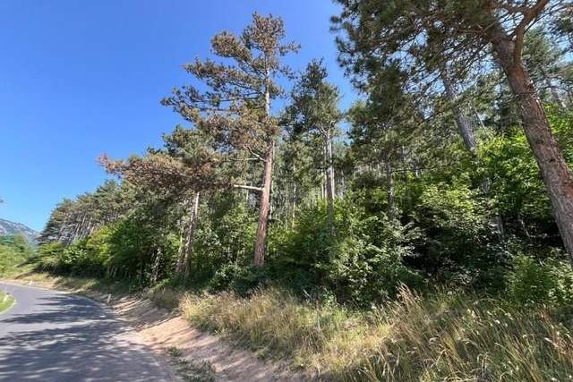 Waldparzelle in Unterhöflein, Grund und Boden-kauf, 52.800,€, 2732 Neunkirchen