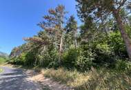 Waldparzelle in Unterhöflein