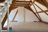 Open Space Wohnen und Arbeiten im Herzen der Wiener Innenstadt zur Miete