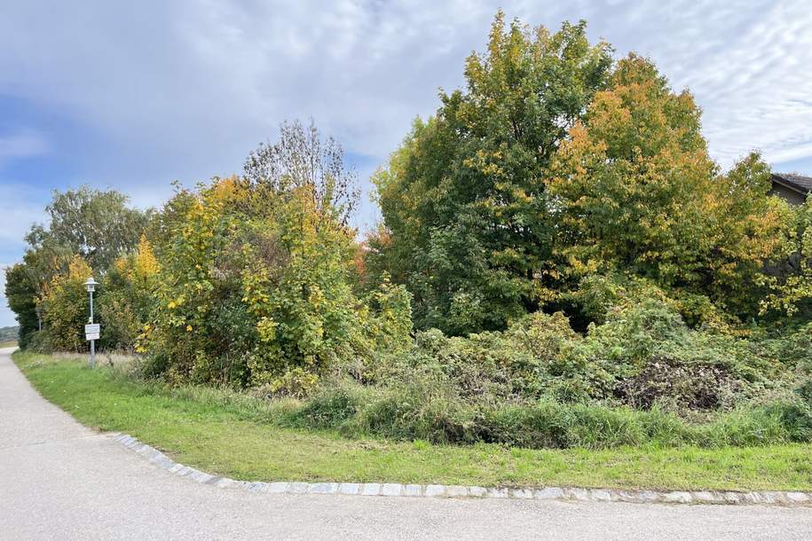 Attraktives Baugrundstück in sonniger Lage, Grund und Boden-kauf, 170.000,€, 2114 Mistelbach