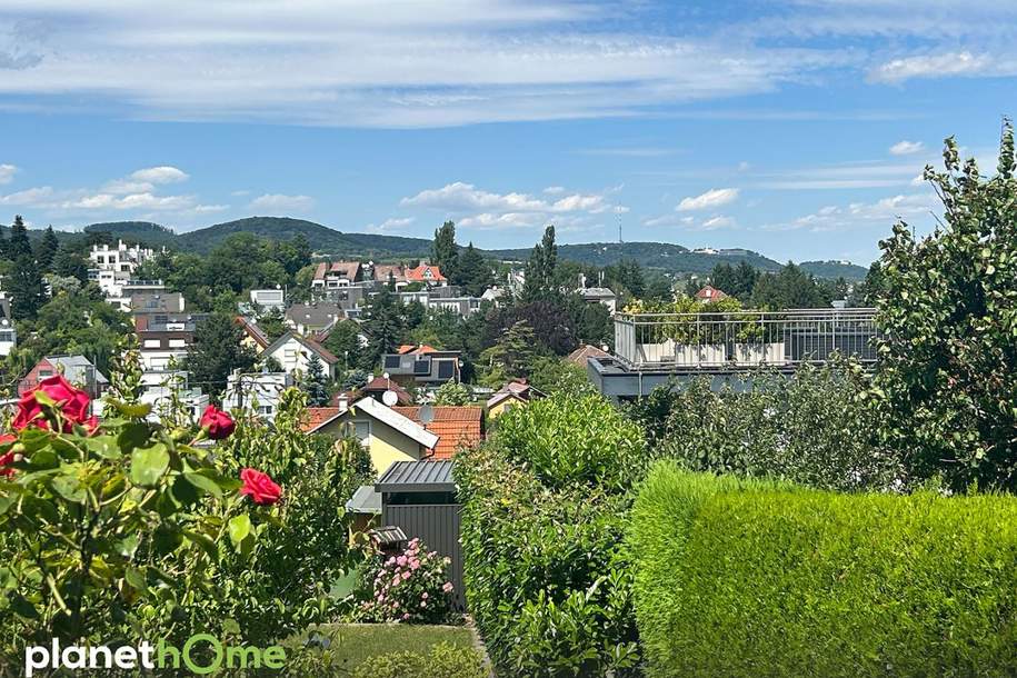 Rarität – Baugrundstück am Schafberg: Panoramablick vom Kahlenberg bis zur City, Grund und Boden-kauf, 590.000,€, 1180 Wien 18., Währing