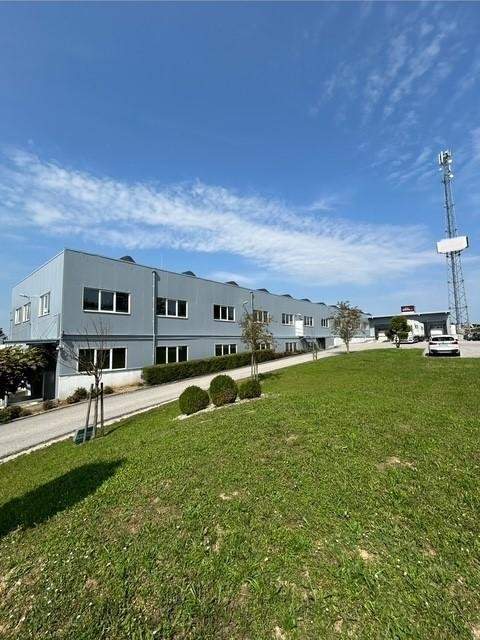 Hallen B Widmung in Eggendorf AKTUELL frei. 670 m2 EG und 1500 m2 im Seitengeschoß