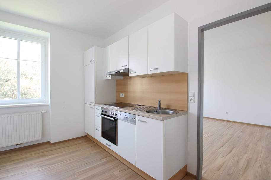 2-Zimmer-Wohnung im Zentrum | 3 Gehminuten zur Uni | Leoben | IMS Immobilien KG, Wohnung-miete, 539,14,€, 8700 Leoben