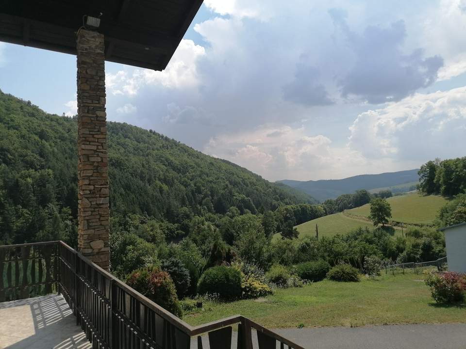 Haus zum Kauf in 2803 SCHWARZENBACH (NÖ)