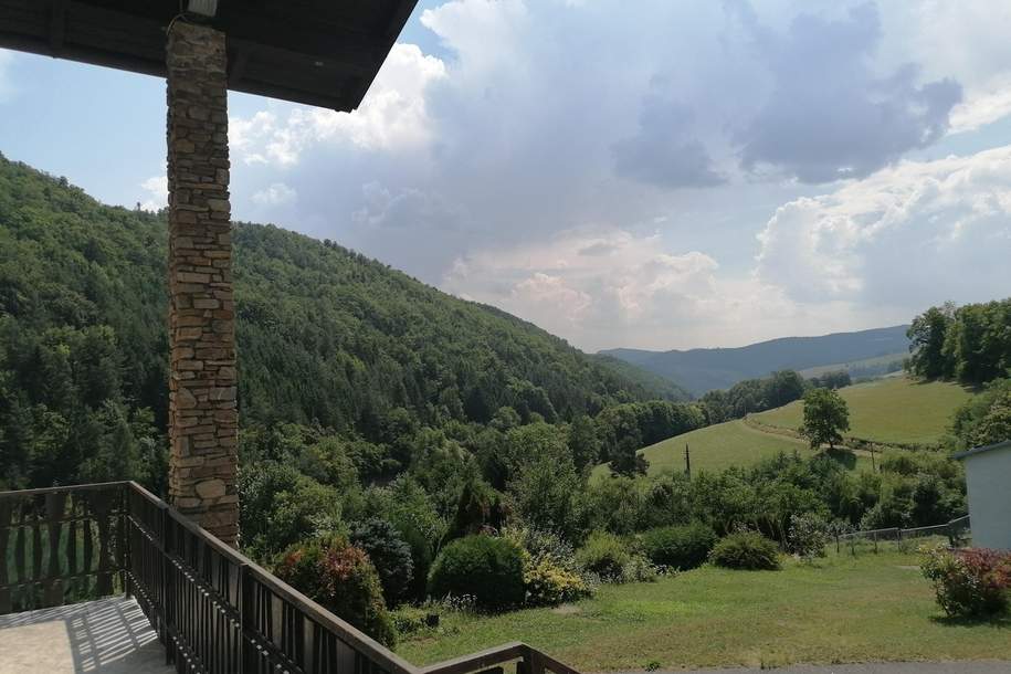 Haus zum Kauf in 2803 SCHWARZENBACH (NÖ), Haus-kauf, 895.000,€, 2803 Wiener Neustadt(Land)